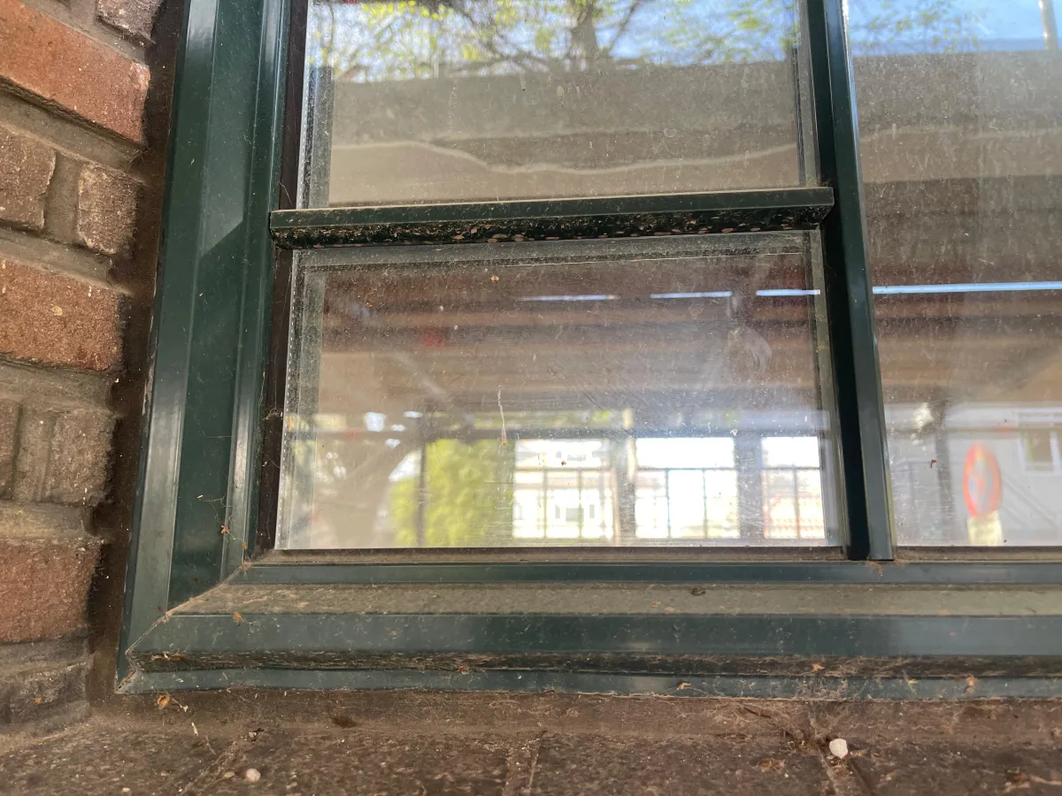 Dark green Framed Multi-Pane Window with Glazing Bars – Reclaimed