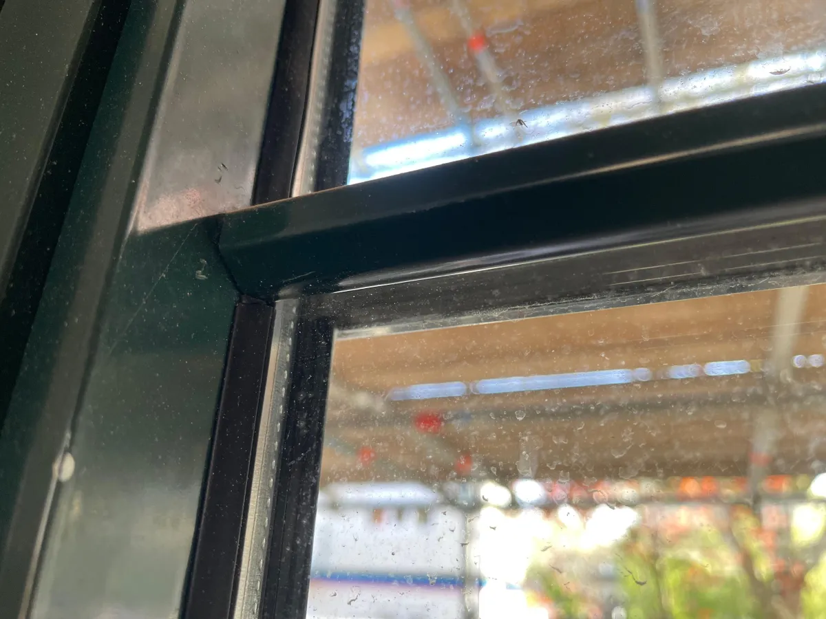 Dark Green Aluminium Multi-Pane Windows with Glazing Bars