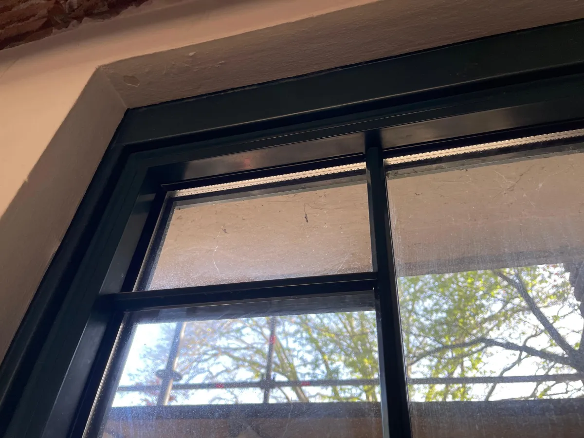 Dark Green Aluminium Multi-Pane Windows with Glazing Bars