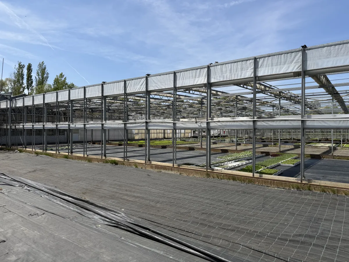 Large Commercial Greenhouse Steel Structure with Shade Cloth – Full Span Glasshouse