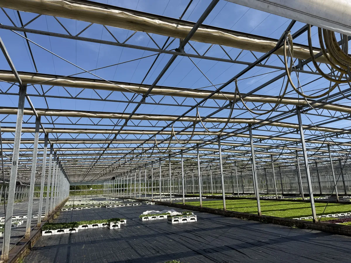 Large Commercial Greenhouse Steel Structure with Shade Cloth – Full Span Glasshouse
