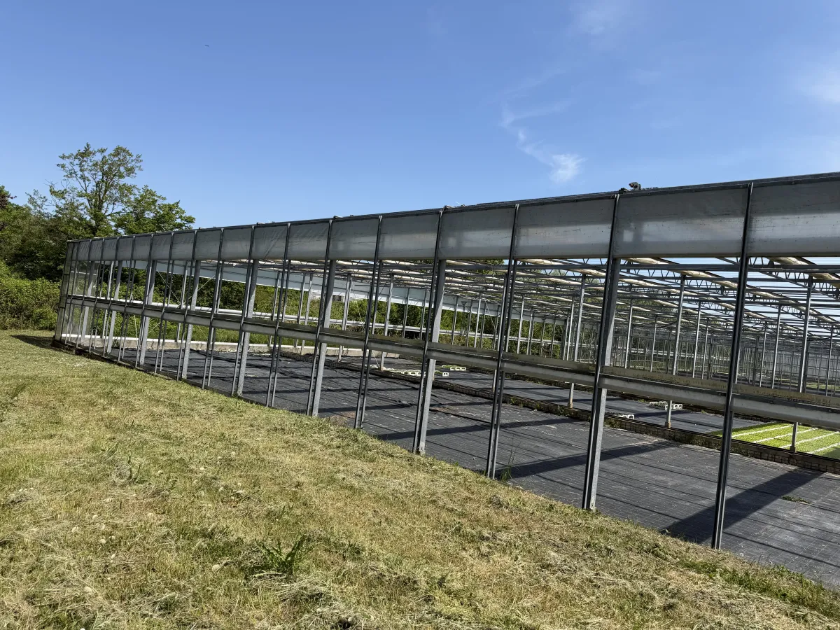 Large Commercial Greenhouse Steel Structure with Shade Cloth – Full Span Glasshouse