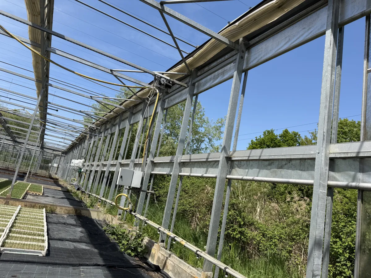 Large Commercial Greenhouse Steel Structure with Shade Cloth – Full Span Glasshouse