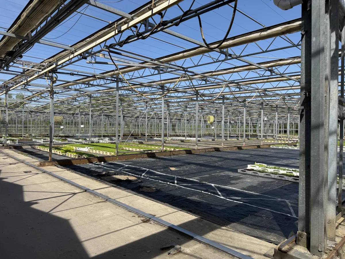 Large Commercial Greenhouse Steel Structure with Shade Cloth – Full Span Glasshouse