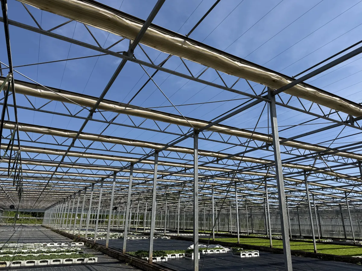 Large Commercial Greenhouse Steel Structure with Shade Cloth – Full Span Glasshouse