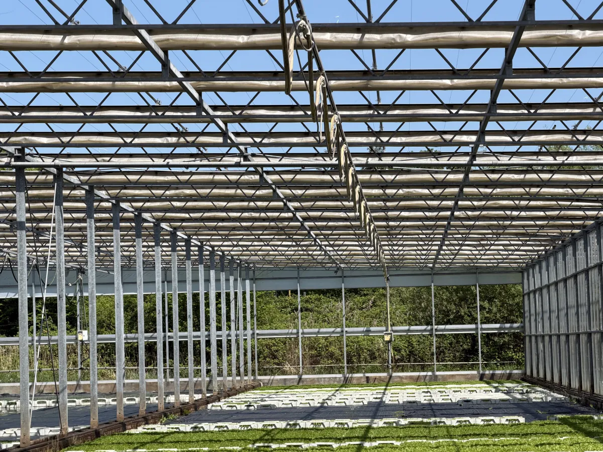 Large Commercial Greenhouse Steel Structure with Shade Cloth – Full Span Glasshouse