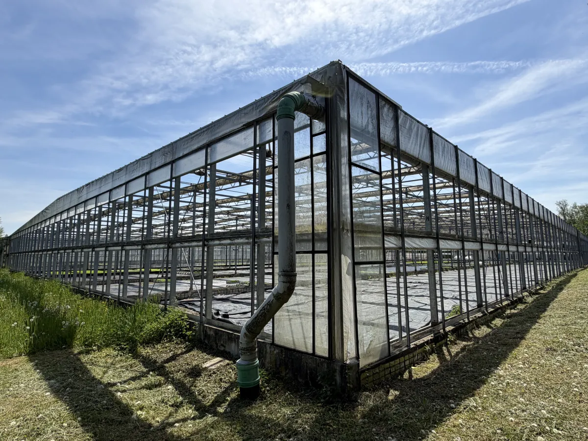 Large Commercial Greenhouse Steel Structure with Shade Cloth – Full Span Glasshouse