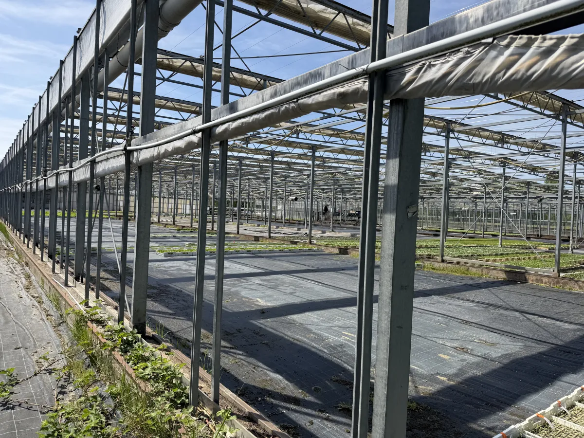 Large Commercial Greenhouse Steel Structure with Shade Cloth – Full Span Glasshouse