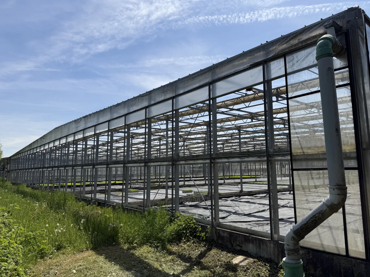 Large Commercial Greenhouse Steel Structure with Shade Cloth – Full Span Glasshouse
