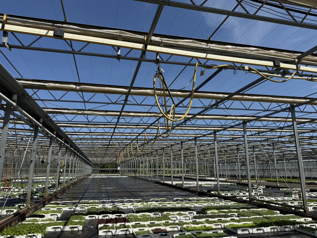 Large Commercial Greenhouse Steel Structure with Shade Cloth – Full Span Glasshouse