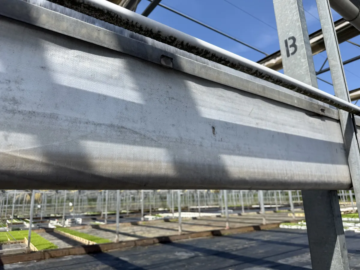 Large Commercial Greenhouse Steel Structure with Shade Cloth – Full Span Glasshouse