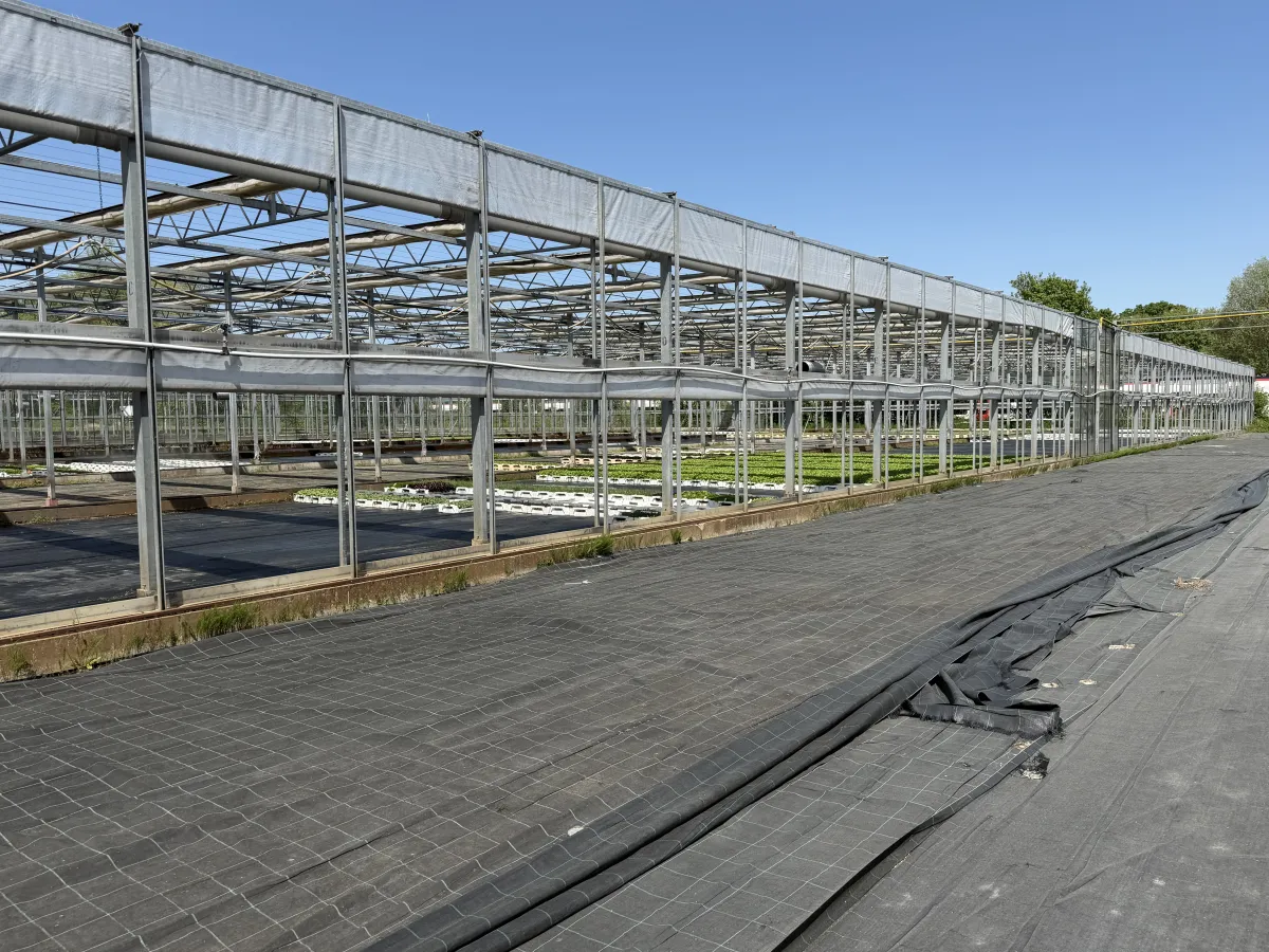 Large Commercial Greenhouse Steel Structure with Shade Cloth – Full Span Glasshouse