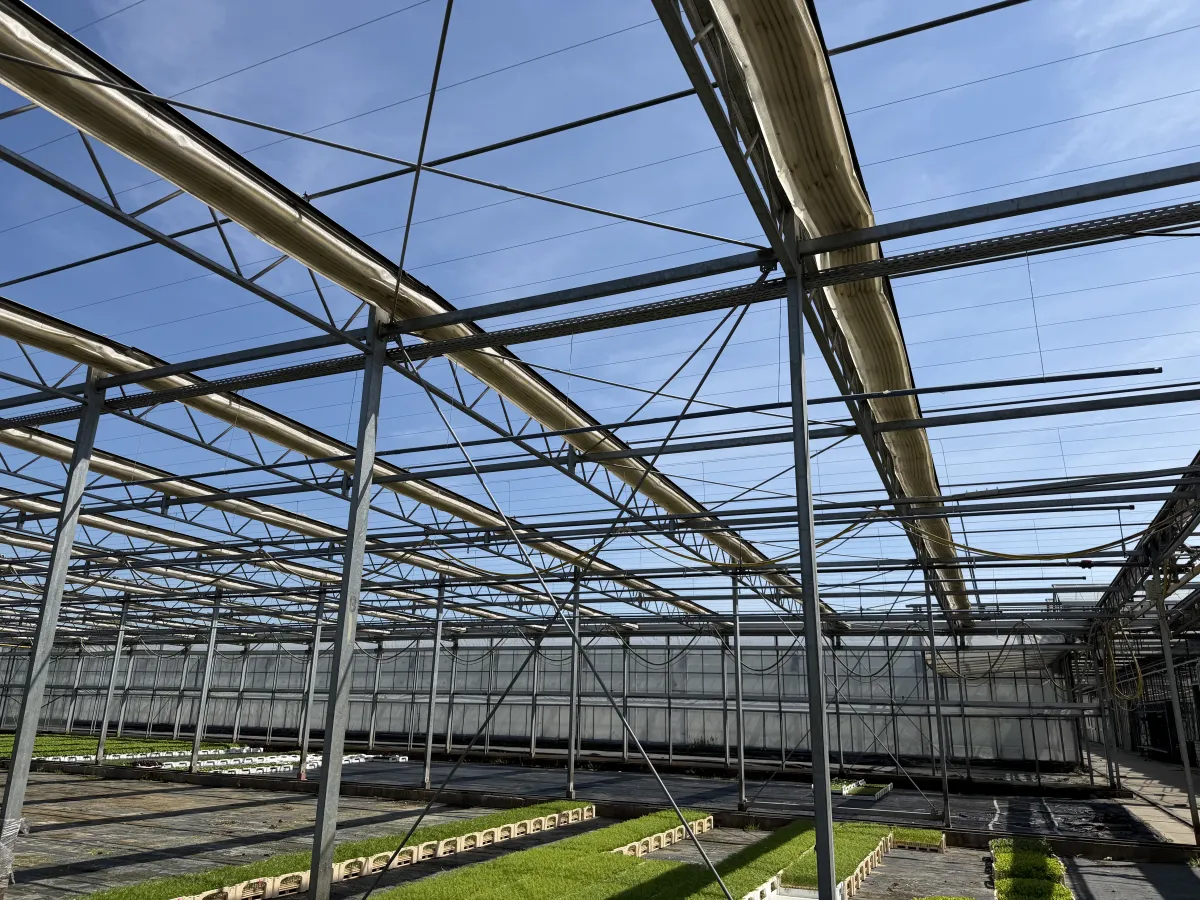Large Commercial Greenhouse Steel Structure with Shade Cloth – Full Span Glasshouse