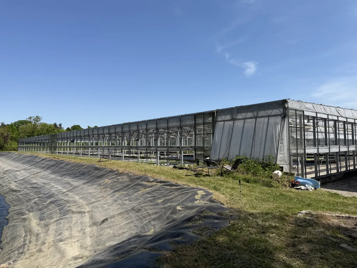 Large Commercial Greenhouse Steel Structure with Shade Cloth – Full Span Glasshouse