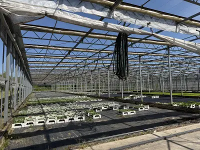 Large Commercial Greenhouse Steel Structure with Shade Cloth – Full Span Glasshouse