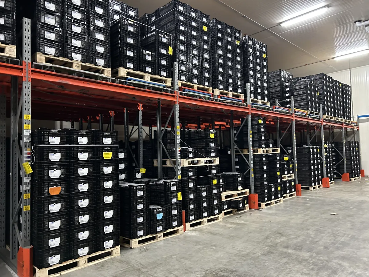 Used Heavy-Duty Pallet Racking System – Orange Beams, Galvanised Uprights, Multi-Bay