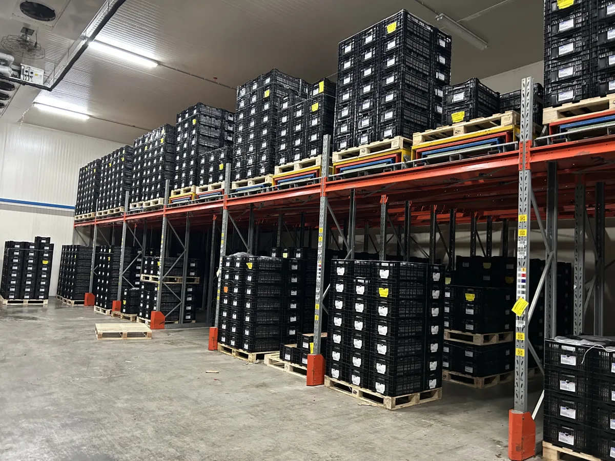Used Heavy-Duty Pallet Racking System – Orange Beams, Galvanised Uprights, Multi-Bay
