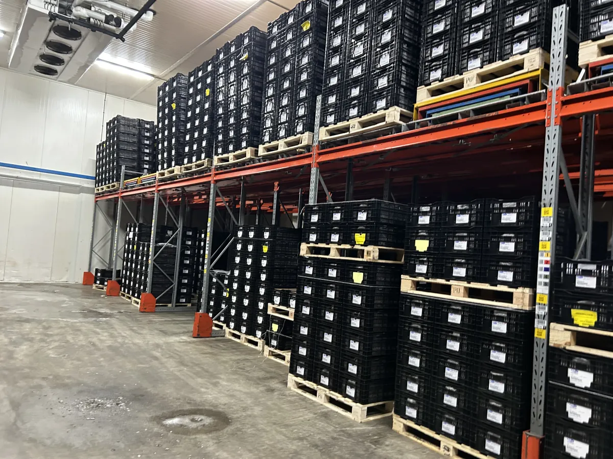 Used Heavy-Duty Pallet Racking System – Orange Beams, Galvanised Uprights, Multi-Bay