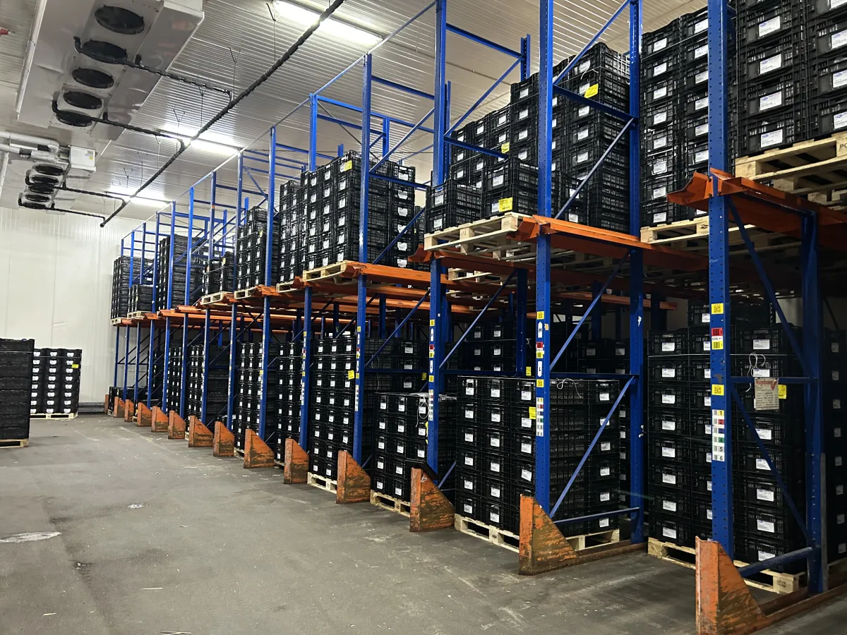 Heavy-Duty Drive-In Pallet Racking System Blue/Orange Steel Warehouse Storage