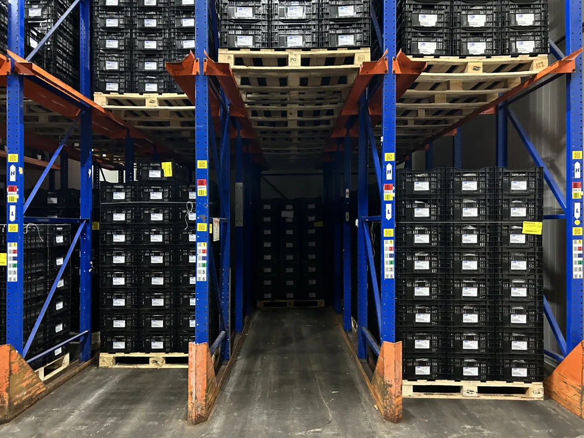 Heavy-Duty Drive-In Pallet Racking System Blue/Orange Steel Warehouse Storage
