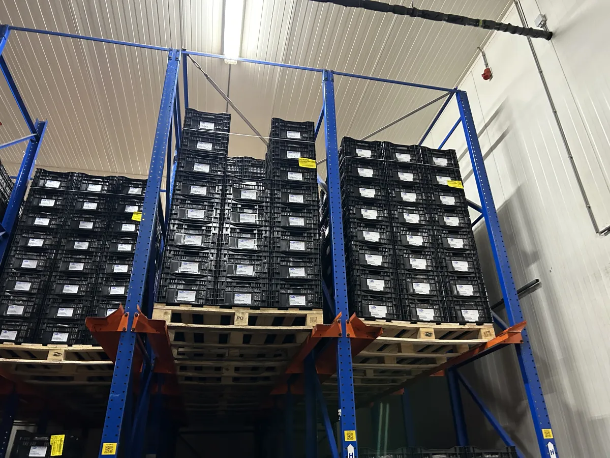 Heavy-Duty Drive-In Pallet Racking System Blue/Orange Steel Warehouse Storage
