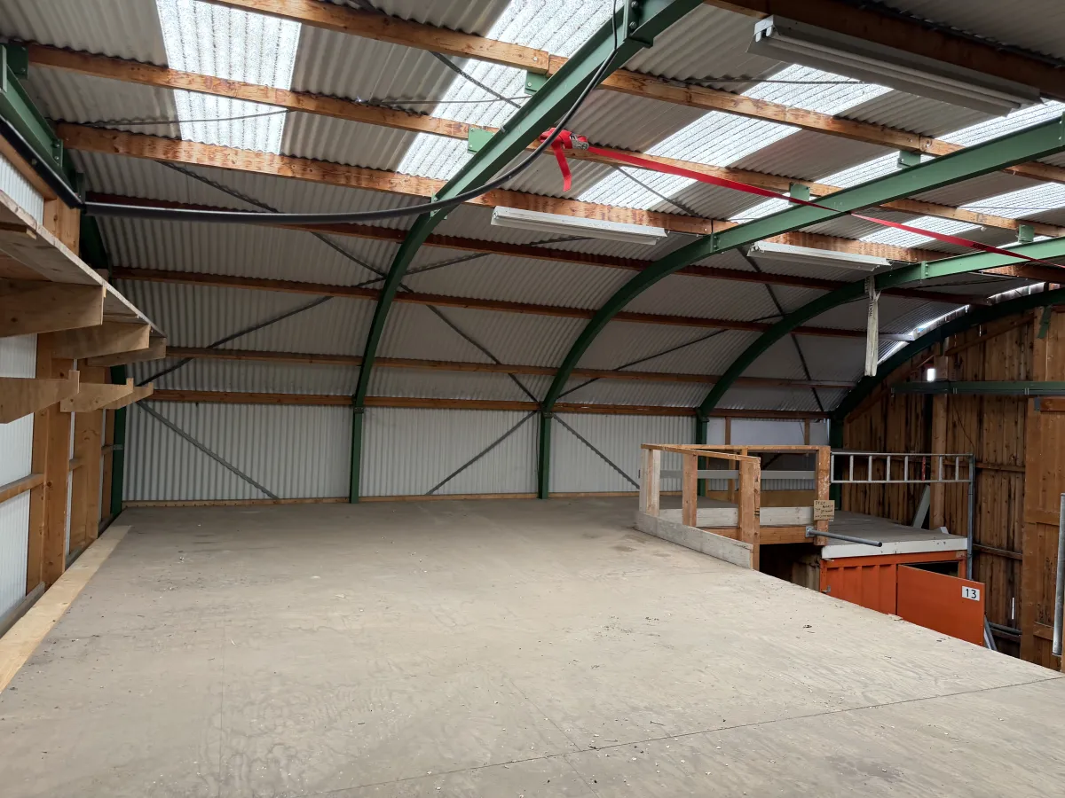 Used Steel Romney Structure with Timber Purlins & Corrugated Roof Sheets (110 m2)