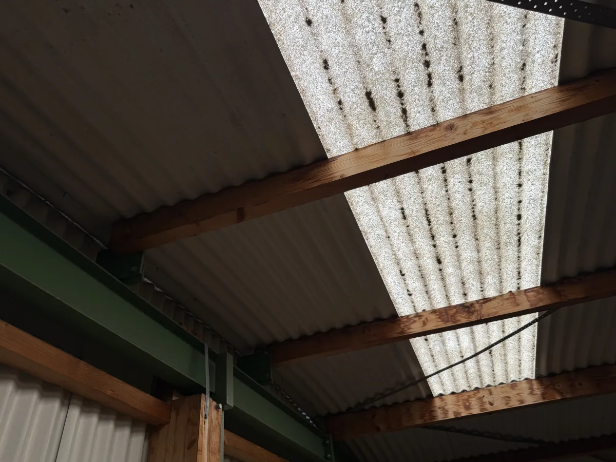 Used Steel Romney Structure with Timber Purlins & Corrugated Roof Sheets (110 m2)