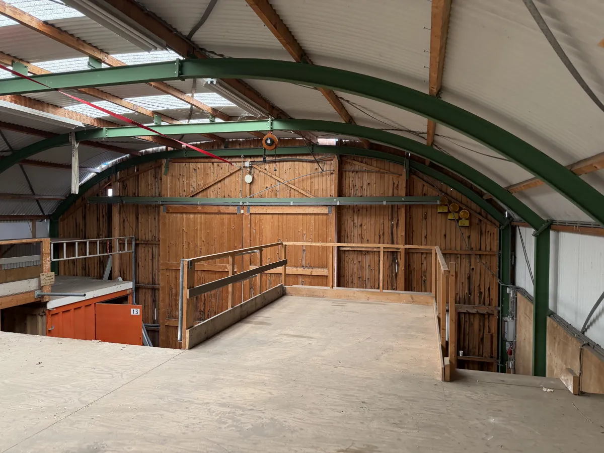 Used Steel Romney Structure with Timber Purlins & Corrugated Roof Sheets (110 m2)