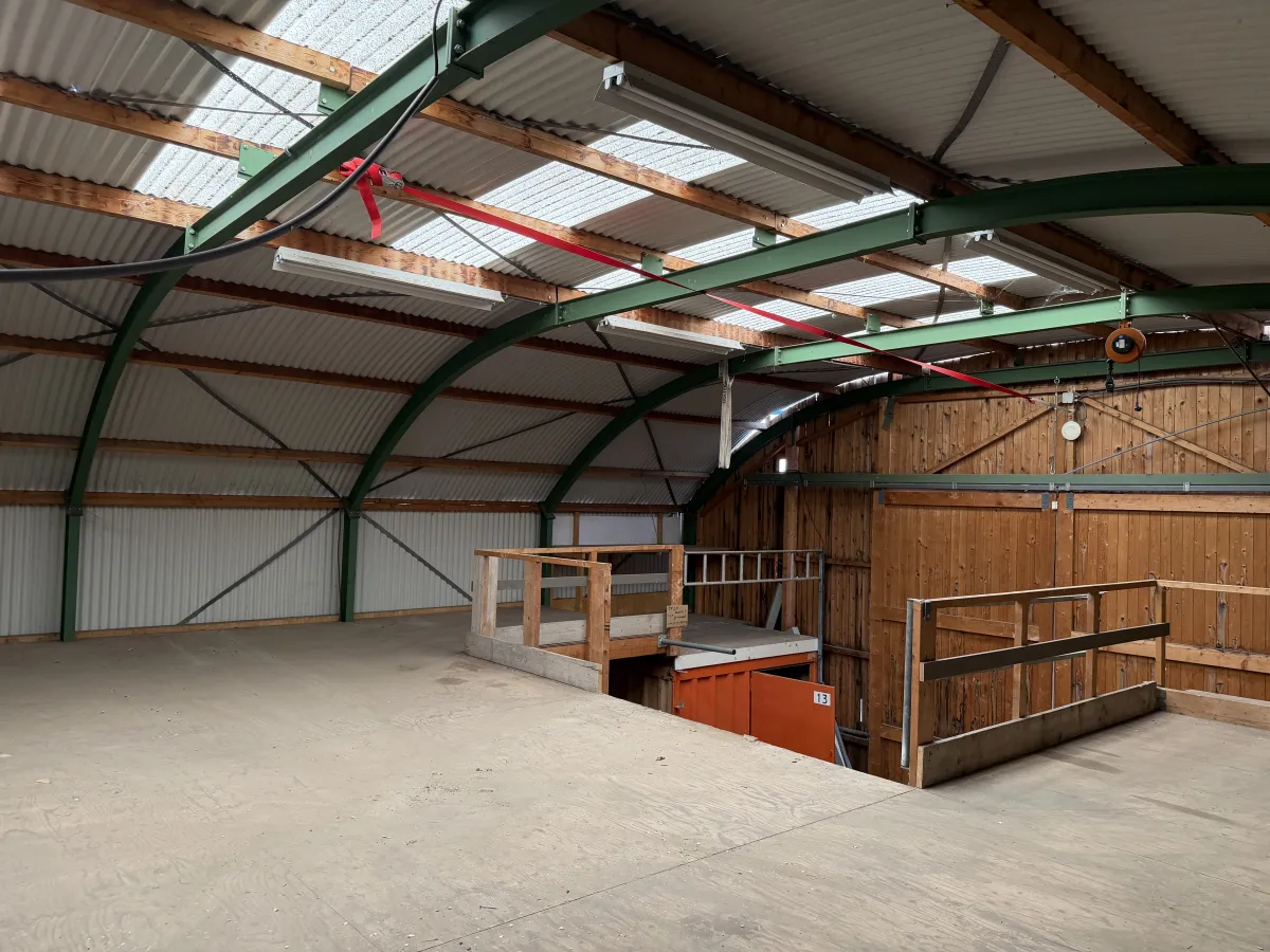 Used Steel Romney Structure with Timber Purlins & Corrugated Roof Sheets (110 m2)